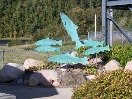 Tour of Mactaquac Biodiversity Facility 23