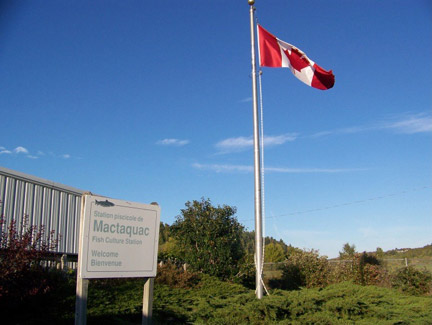 Tour of Mactaquac Biodiversity Facility. 325