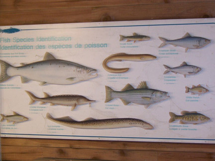 Tour of Mactaquac Biodiversity Facility